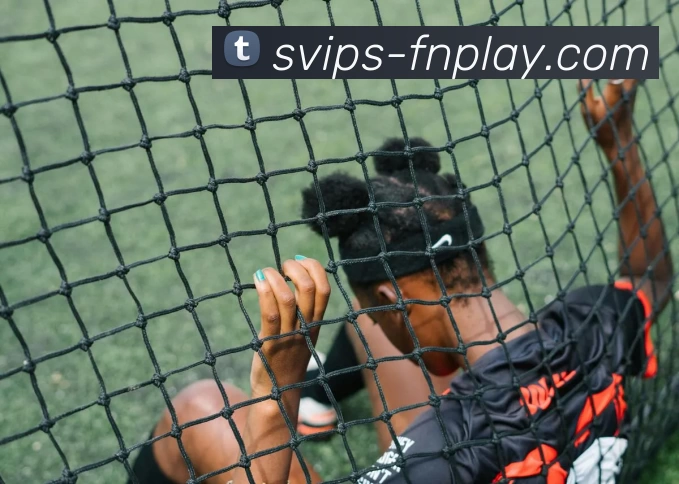 App Interface Preview